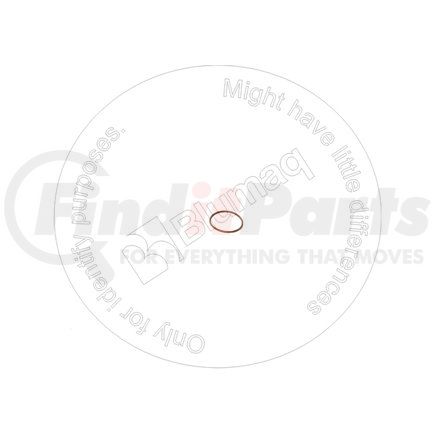 CS238-6132 by BLUMAQ - SEAL O-RING