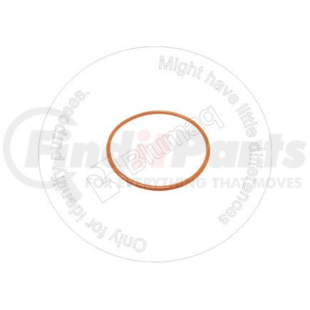 CS238-6234 by BLUMAQ - SEAL O-RING