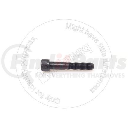 01252-01265 by BLUMAQ - BOLT