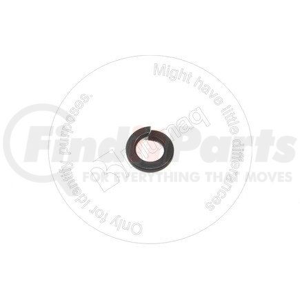 01602-11338 by BLUMAQ - GROWER WASHER