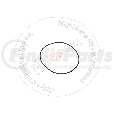 02891-02119 by BLUMAQ - SEAL O-RING