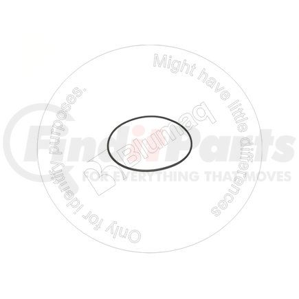 02892-03148 by BLUMAQ - SEAL O-RING