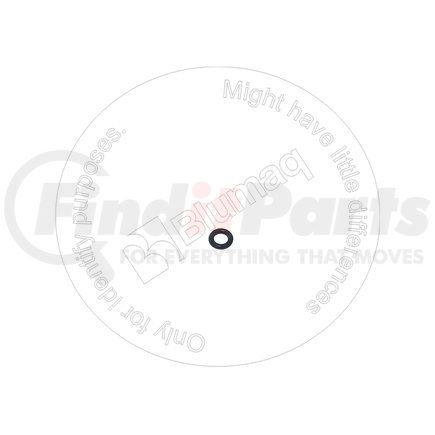 02896-11005 by BLUMAQ - SEAL O-RING