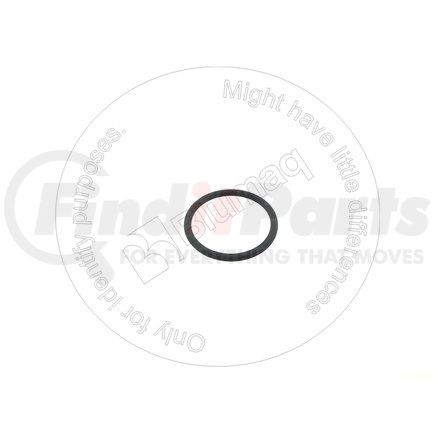 02896-21018 by BLUMAQ - SEAL O-RING