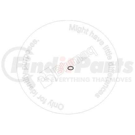 02896-51009 by BLUMAQ - SEAL O-RING