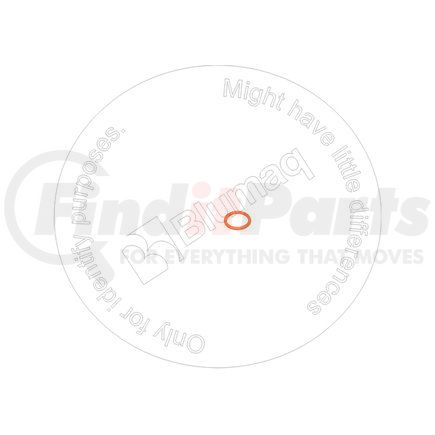 07000-72016 by BLUMAQ - Seal O-ring