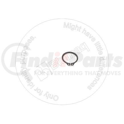 1L8497 by BLUMAQ - RING
