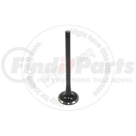 6162-43-4110 by BLUMAQ - INTAKE VALVE