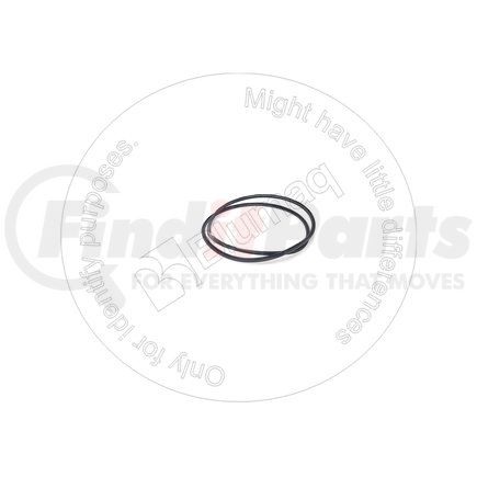 VO1656780 by BLUMAQ - SEALING RING