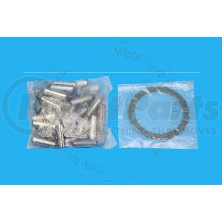 VO4881319 by BLUMAQ - Needle Bearing