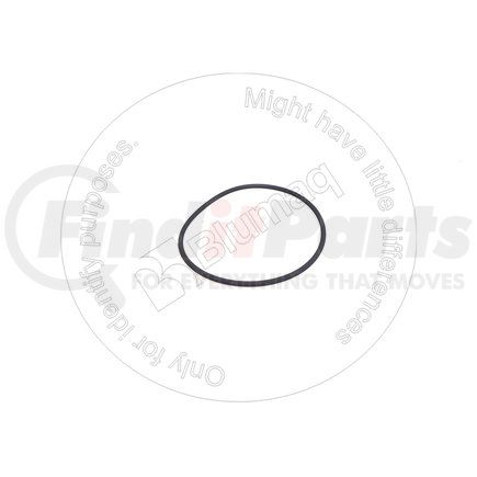 VO13976068 by BLUMAQ - Seal O-ring