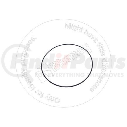 HY0634303684 by BLUMAQ - SEAL O-RING