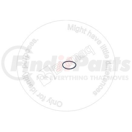 LI500450908 by BLUMAQ - SEAL O-RING