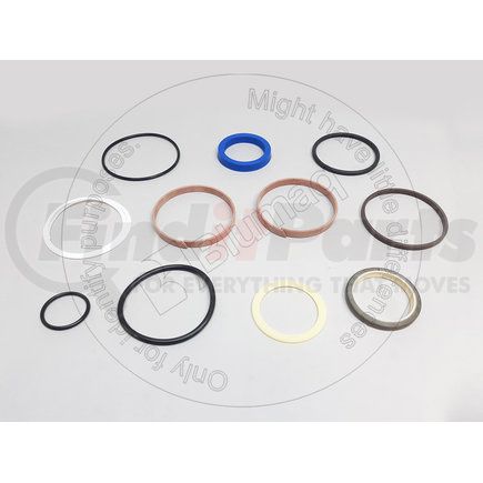 PZF855660111 by BLUMAQ - GASKET KIT