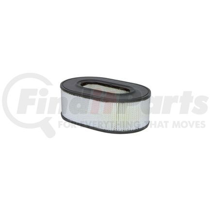 Hasting Filter AF1035 Oval Air Element