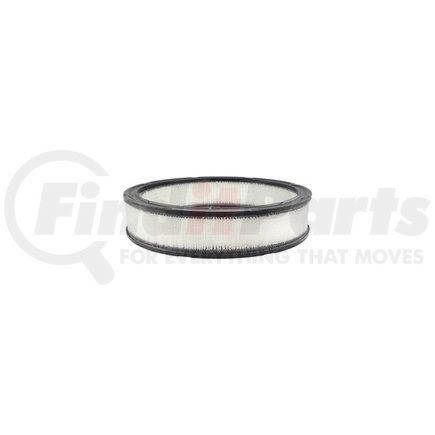 Hasting Filter AF139 AIR ELEMENT