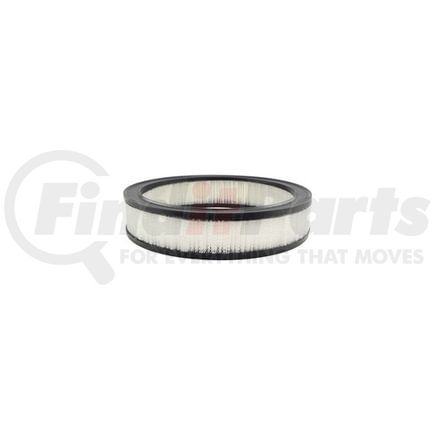 Hasting Filter AF157 AIR ELEMENT