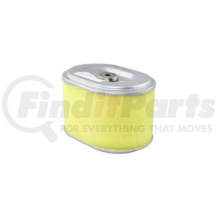 Hasting Filter AF2434 OVAL AIR ELEMENT