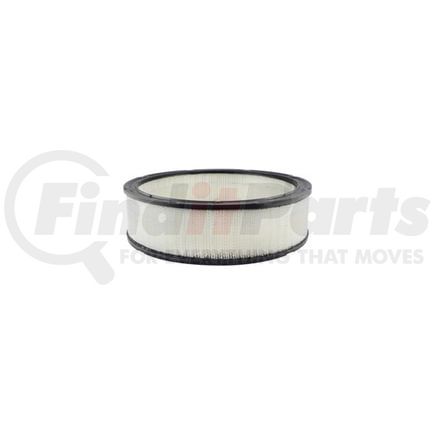 Hasting Filter AF73 AIR ELEMENT