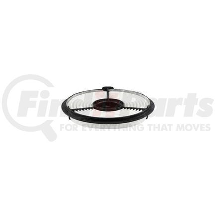 Hasting Filter AF939 AIR ELEMENT