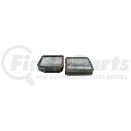AFC1150 by HASTING FILTER - Set of 2 Cabin Air Elements