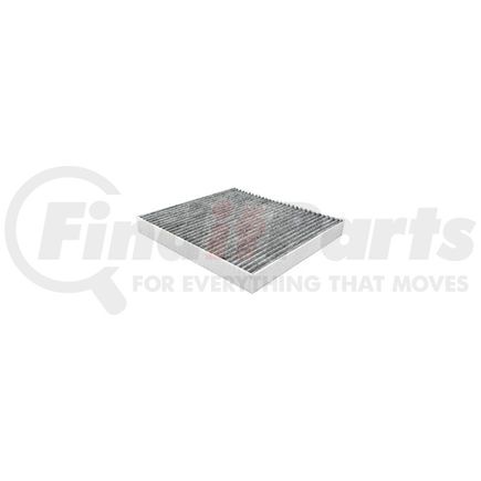 AFC1328 by HASTING FILTER - CABIN AIR ELEMEN