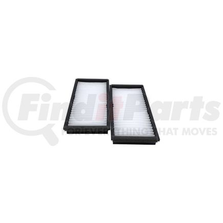 AFC1390 by HASTING FILTER - Set of 2 Cabin Air Elements