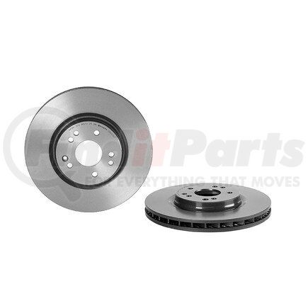 09.D229.11 by BREMBO - Premium UV Coated Front Brake Rotor