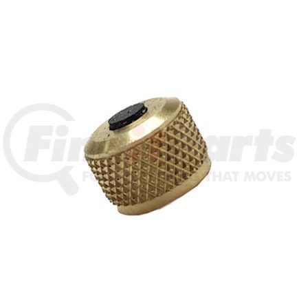 Haltec A-152 Tire Valve Stem Cap Tire Valve Stem Cap - VC-10 TR No., Large Bore Short Dome Valve Cap