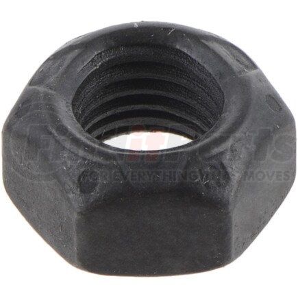 057637 by DANA - NUT