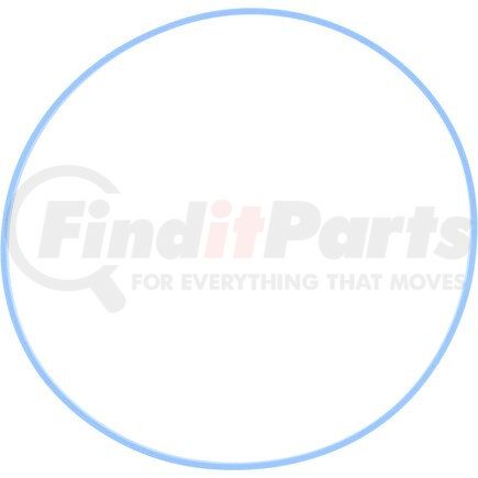 070HH269 by DANA - DANA ORIGINAL OEM, O - RING PTFE PISTON RING