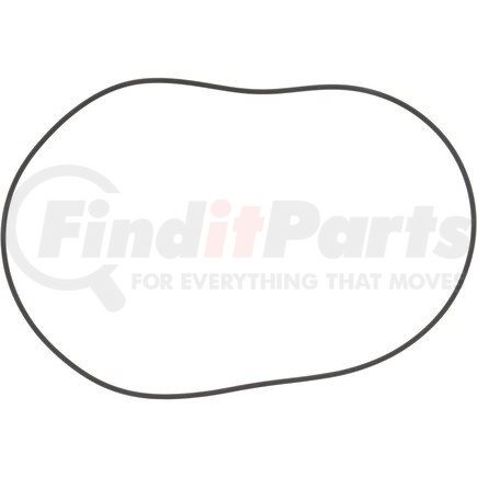 176.07.029.01 by DANA - DANA ORIGINAL OEM, O-RING, HUB REDUCTION, AXLE, FRONT & REAR