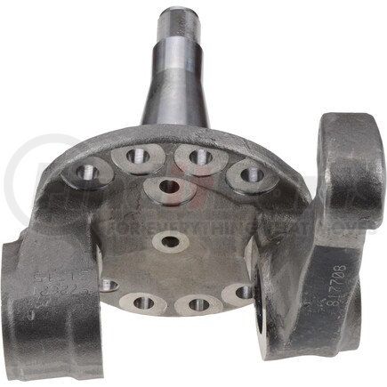 817738 by DANA - E1322I/E1462I Series Steering Knuckle - Right Hand