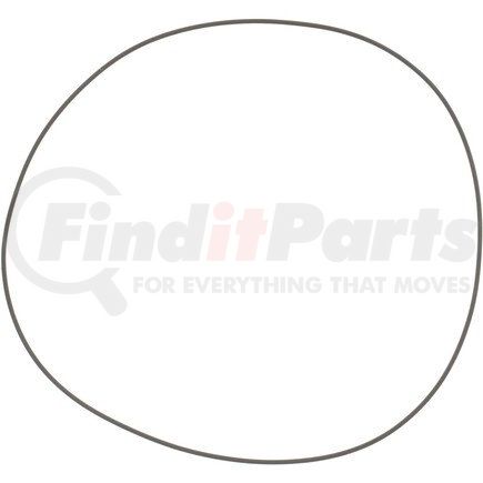 S20HH162 by DANA - Spicer Off Highway O- RING