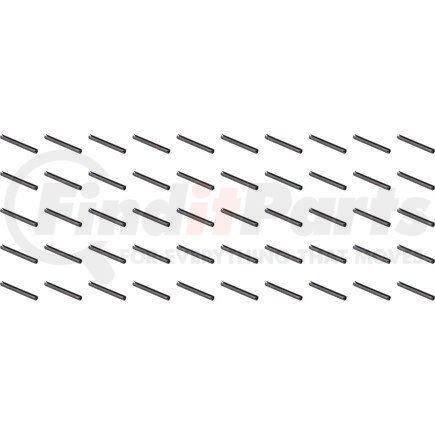 44810 by DANA - ROLL PIN (X50)