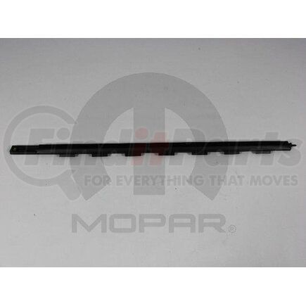 55277030AD by MOPAR - Door Seal - Rear, Right