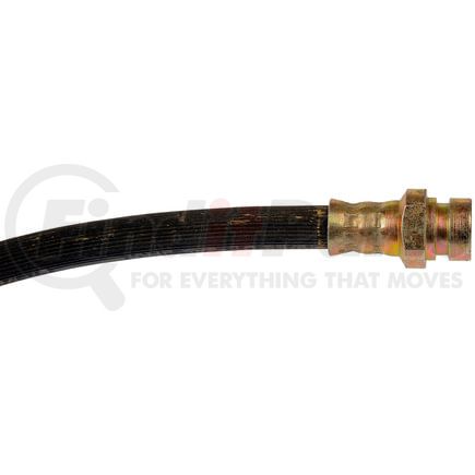H380117 by DORMAN - BRAKE HOSE