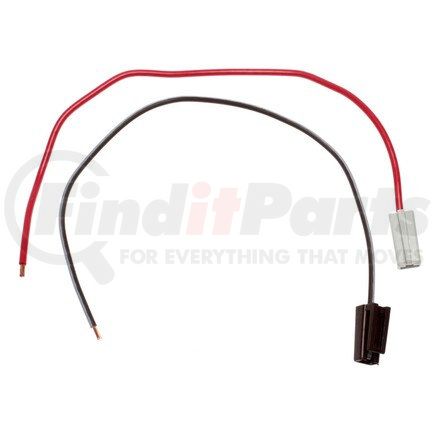 ICK100 by STANDARD IGNITION - Ignition Coil Wiring Harness Repair Kit