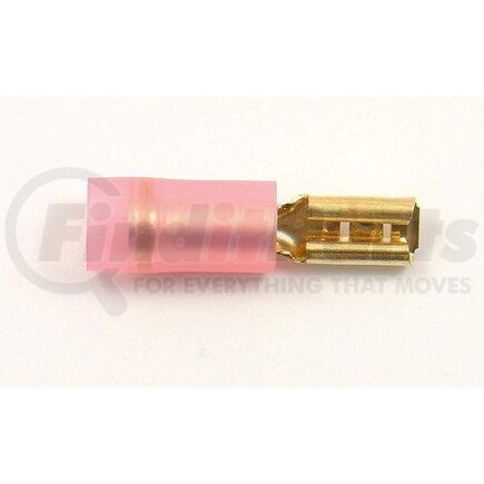 HP6520 by STANDARD IGNITION - PRIMARY TERMINAL