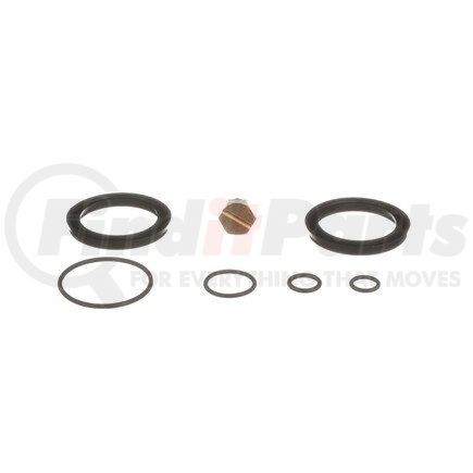 PHS1 by STANDARD IGNITION - Fuel Filter Housing Seal Kit