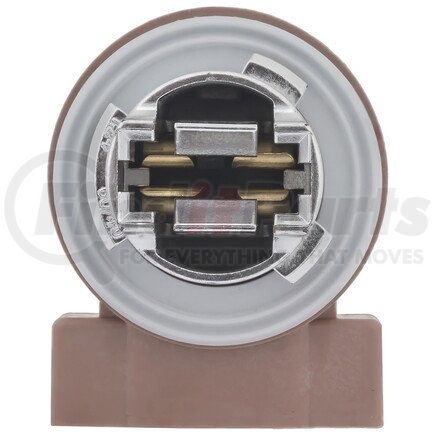 S2606 by STANDARD IGNITION - Back-Up Light Socket