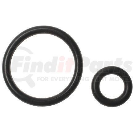SK6 by STANDARD IGNITION - Fuel Rail O-Ring Kit