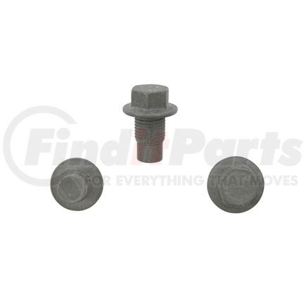 500100 by PIONEER - Engine Oil Drain Plug