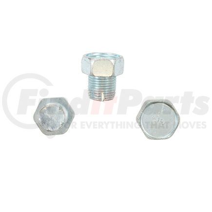 5001085 by PIONEER - OVERSIZE DRAIN PLUG