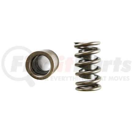 8101014 by PIONEER - Valve Spring