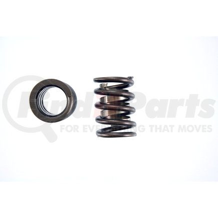 8101024 by PIONEER - Valve Spring