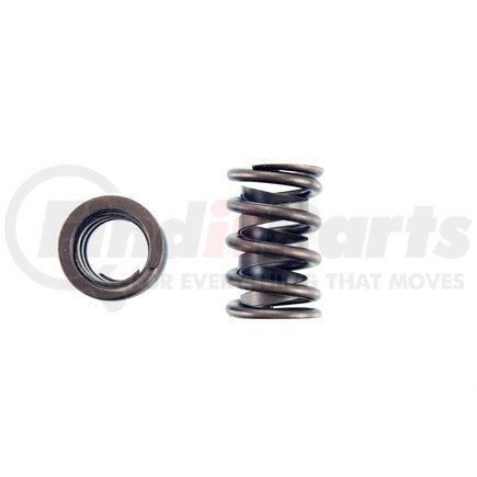 8101034 by PIONEER - Valve Spring