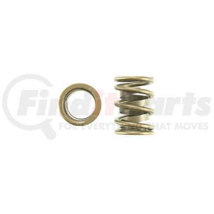 8101044 by PIONEER - Valve Spring