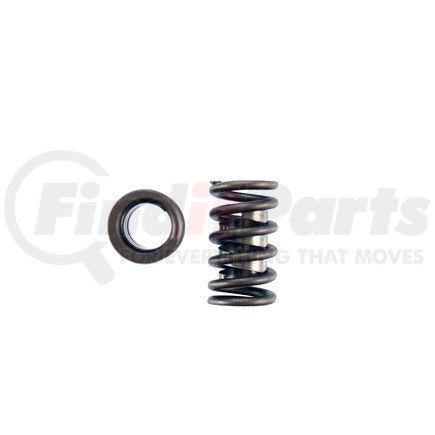 8101064 by PIONEER - Valve Spring