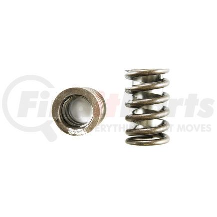 8100104 by PIONEER - Valve Spring